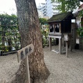 実際訪問したユーザーが直接撮影して投稿した茶臼山町神社黒龍社の写真