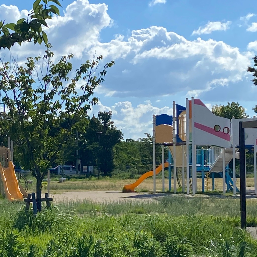 実際訪問したユーザーが直接撮影して投稿した大井公園大井中央公園の写真