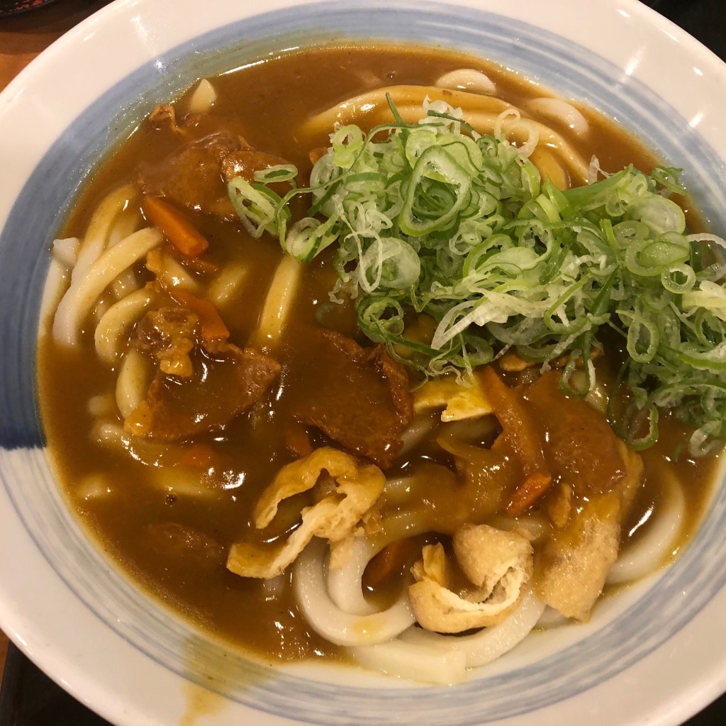 ユーザーが投稿したカレーうどんの写真 - 実際訪問したユーザーが直接撮影して投稿した神の倉うどんどんどん庵 神の倉店の写真