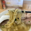 実際訪問したユーザーが直接撮影して投稿した矢口ラーメン専門店手打ち麺処 好き酒師の写真