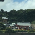 実際訪問したユーザーが直接撮影して投稿した天王台寺満願寺の写真