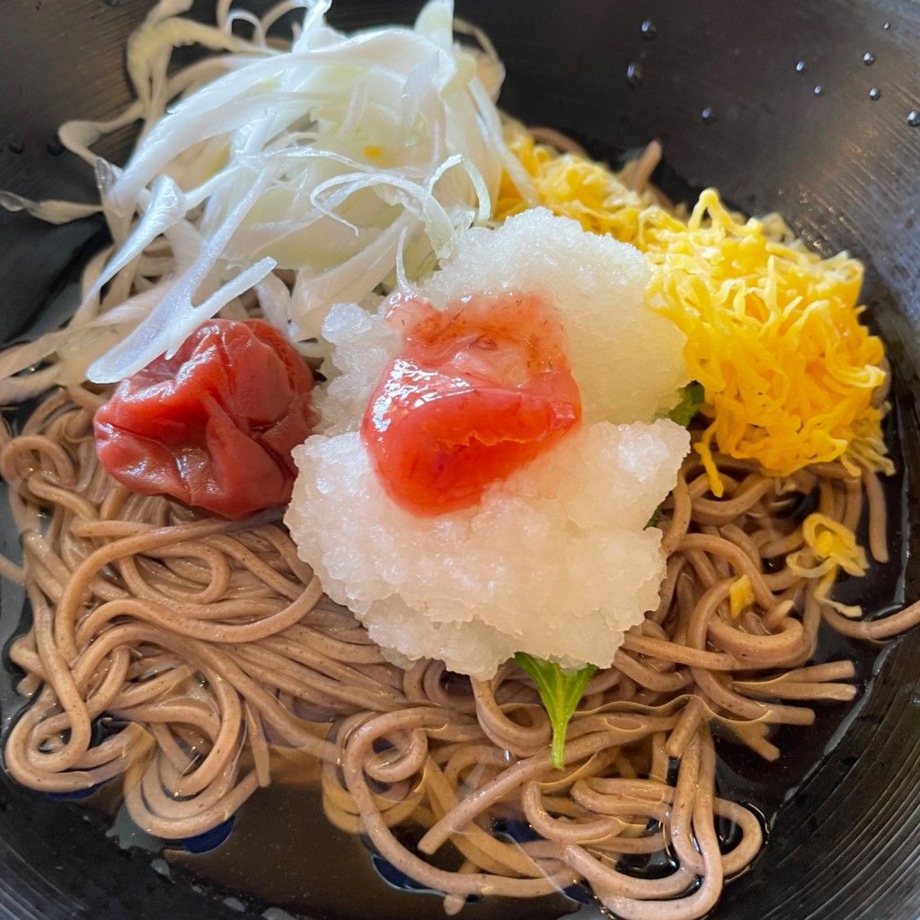 ユーザーが投稿した(麺)南高梅梅おろしの写真 - 実際訪問したユーザーが直接撮影して投稿した田村ファミリーレストラン和食さと 平塚田村店の写真