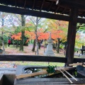 実際訪問したユーザーが直接撮影して投稿した浄土寺真如町寺真如堂の写真