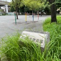 実際訪問したユーザーが直接撮影して投稿した南大井公園みなみ児童遊園の写真