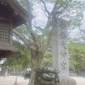 実際訪問したユーザーが直接撮影して投稿した宮本神社意富比神社の写真