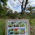 実際訪問したユーザーが直接撮影して投稿した私市植物園 / 樹木園大阪市立大学理学部附属植物園の写真