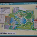 実際訪問したユーザーが直接撮影して投稿した三田ケ谷公園羽生水郷公園の写真