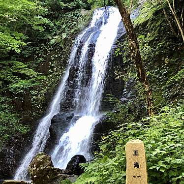 実際訪問したユーザーが直接撮影して投稿した国府町宇津江ウォーキング / トレッキングコース宇津江四十八滝遊歩道の写真