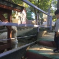 実際訪問したユーザーが直接撮影して投稿した山小川動物園アニマルワンダーリゾウト 市原ぞうの国の写真