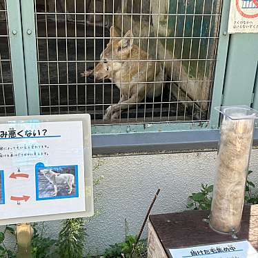 天王寺動物園のundefinedに実際訪問訪問したユーザーunknownさんが新しく投稿した新着口コミの写真