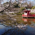 実際訪問したユーザーが直接撮影して投稿した高師公園茂原公園の写真