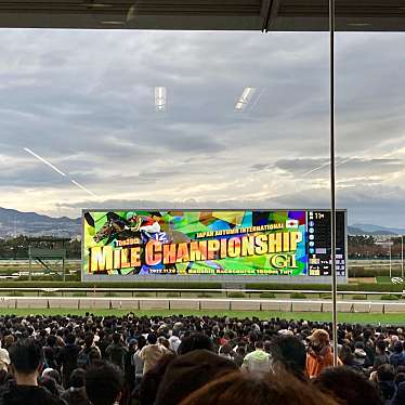 実際訪問したユーザーが直接撮影して投稿した駒の町競馬場阪神競馬場の写真