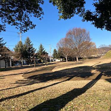 実際訪問したユーザーが直接撮影して投稿した松代町松代公園松代城公園の写真