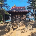 実際訪問したユーザーが直接撮影して投稿した中沢神社正八幡神社の写真