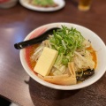 実際訪問したユーザーが直接撮影して投稿した桜台ラーメン / つけ麺ドレファラシドの写真