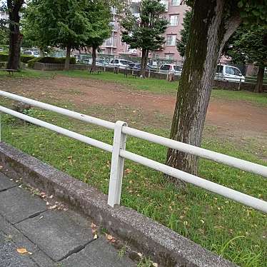 実際訪問したユーザーが直接撮影して投稿した本町公園東団地第2公園の写真