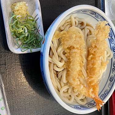 さぬきうどん 天霧 下松店のundefinedに実際訪問訪問したユーザーunknownさんが新しく投稿した新着口コミの写真