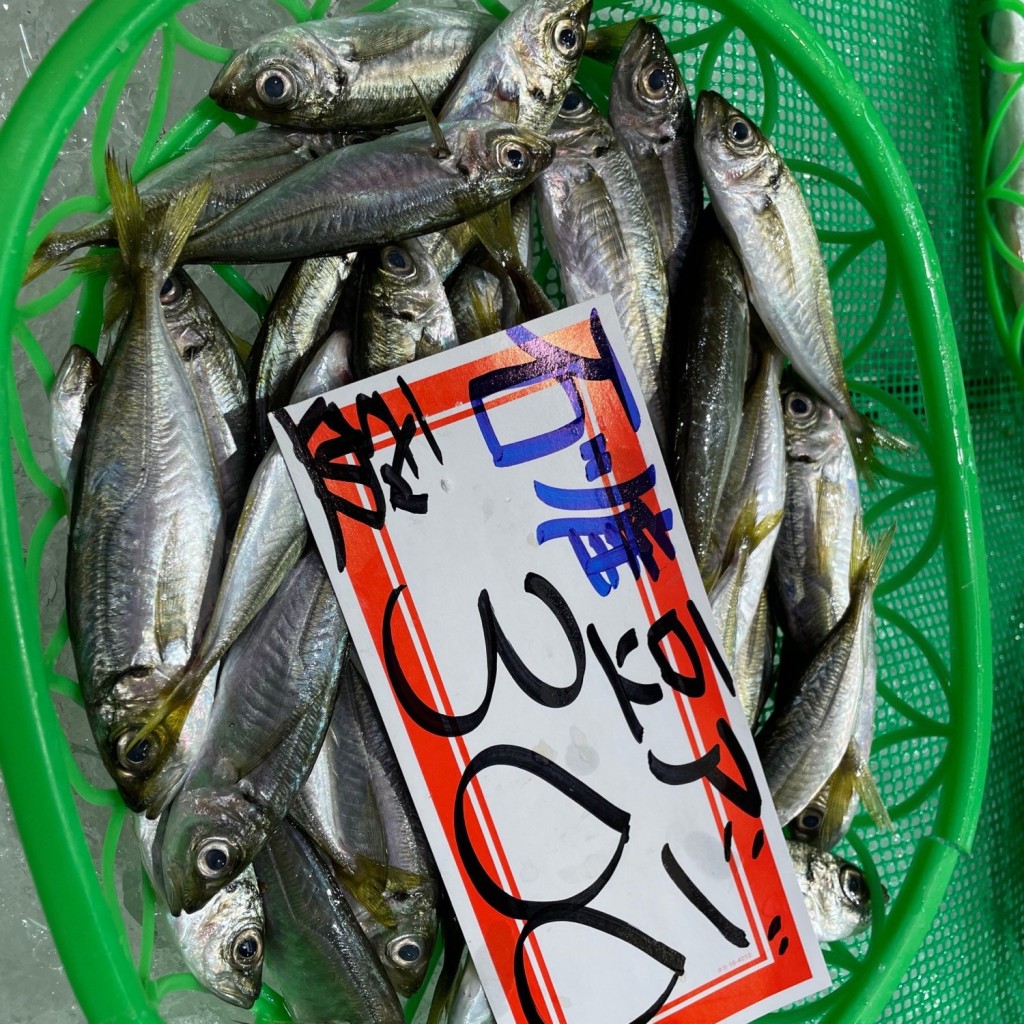 ユーザーが投稿した豆アジの写真 - 実際訪問したユーザーが直接撮影して投稿した上近江町魚介 / 海鮮料理大口水産株式会社の写真