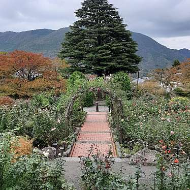 箱根強羅公園のundefinedに実際訪問訪問したユーザーunknownさんが新しく投稿した新着口コミの写真