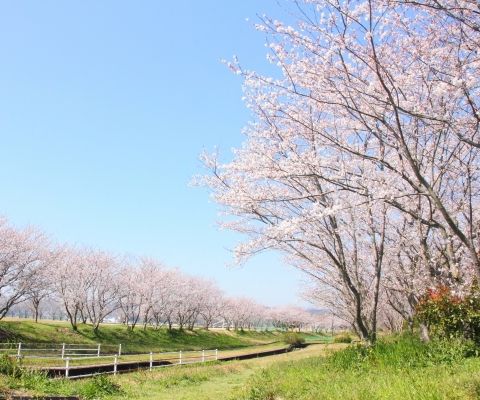 実際訪問したユーザーが直接撮影して投稿した今古賀町村役場遠賀町役場の写真