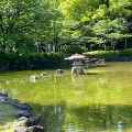 実際訪問したユーザーが直接撮影して投稿した中村町公園中村公園の写真