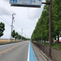 実際訪問したユーザーが直接撮影して投稿した赤松町道の駅道の駅 デンパーク安城の写真