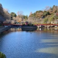 実際訪問したユーザーが直接撮影して投稿した高師公園茂原公園の写真