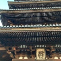 実際訪問したユーザーが直接撮影して投稿した御室大内文化財仁和寺五重塔の写真