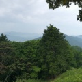 実際訪問したユーザーが直接撮影して投稿した木之本町大音山 / 峠賤ヶ岳の写真