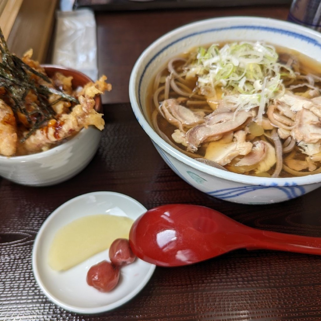 ネラさん_つぎは山形県さんが投稿した観音寺そばのお店肉そば はくよう/ニクソバハクヨウの写真