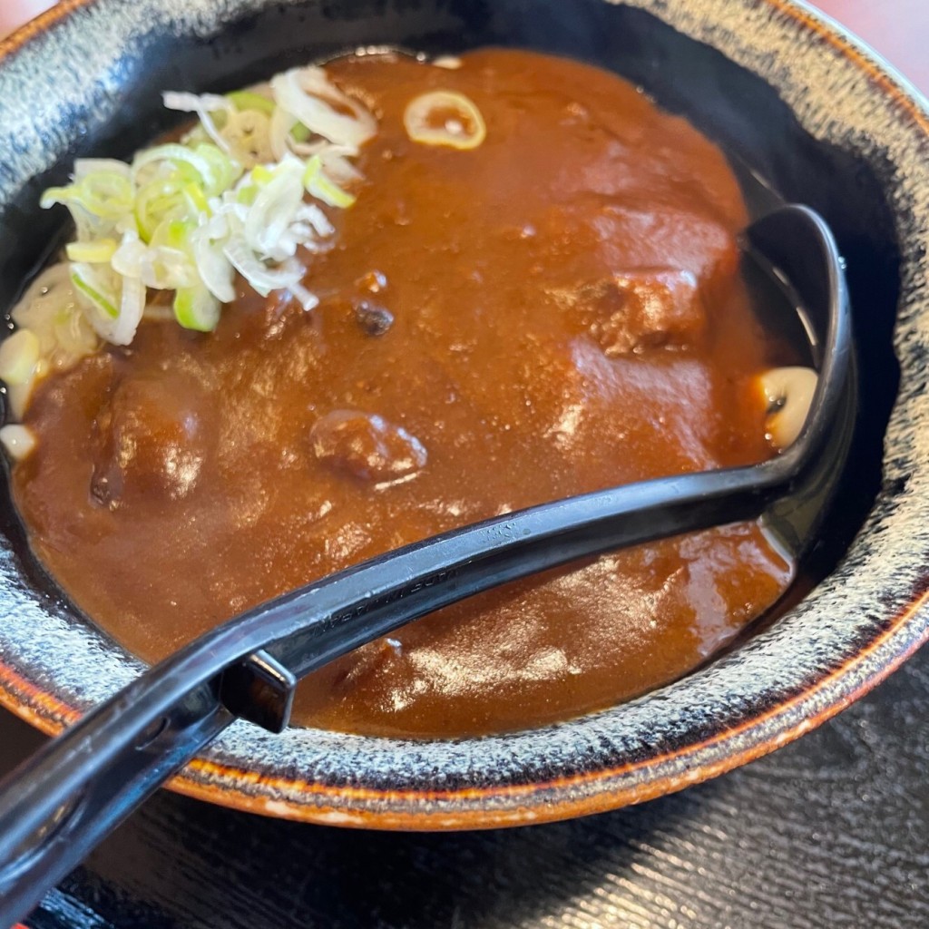 ユーザーが投稿したカレーうどんの写真 - 実際訪問したユーザーが直接撮影して投稿した田中町定食屋すしべん 金沢東インター店の写真