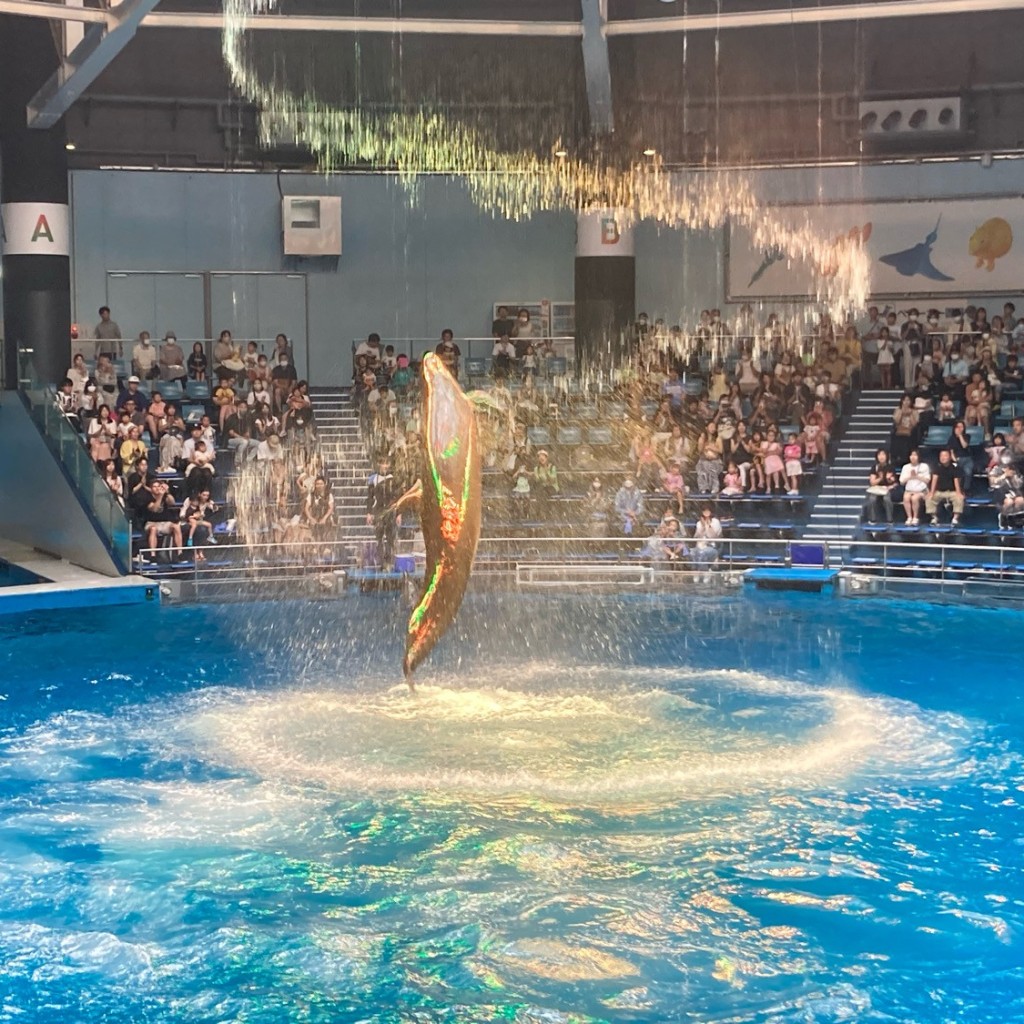 実際訪問したユーザーが直接撮影して投稿した高輪水族館 / アクアリウムマクセル アクアパーク品川の写真