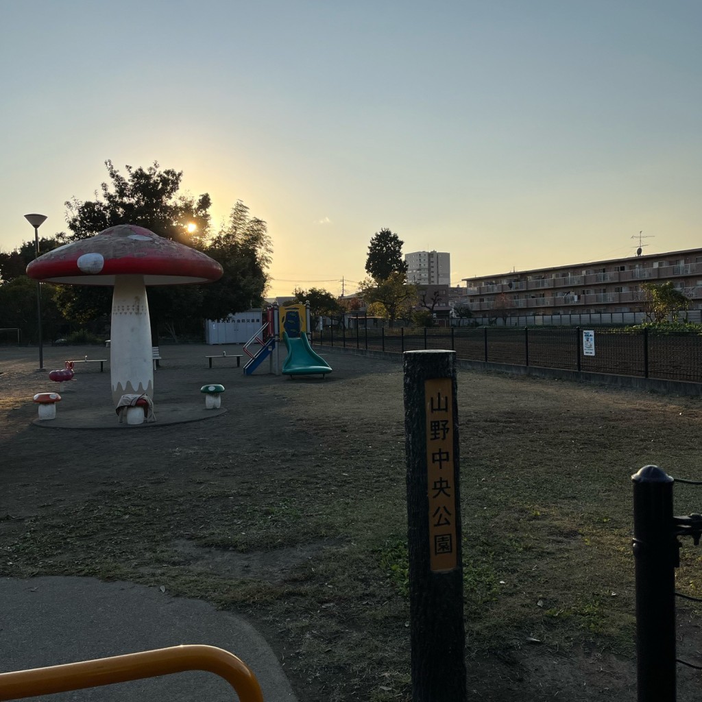 実際訪問したユーザーが直接撮影して投稿した上鶴間本町公園山野中央公園の写真