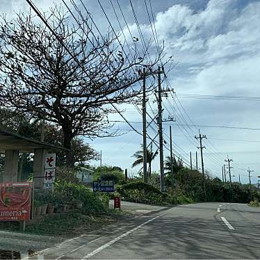 実際訪問したユーザーが直接撮影して投稿した桴海その他飲食店サタケ八重山ヤシ記念館の写真