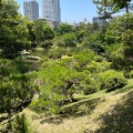 実際訪問したユーザーが直接撮影して投稿した上幟町庭園縮景園の写真