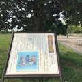 実際訪問したユーザーが直接撮影して投稿したレイクタウン公園見田方遺跡公園の写真