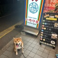 実際訪問したユーザーが直接撮影して投稿した大山東町惣菜屋キムチ家本店の写真