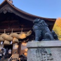 実際訪問したユーザーが直接撮影して投稿した(番地が直接)神社諏訪大社 下社秋宮の写真