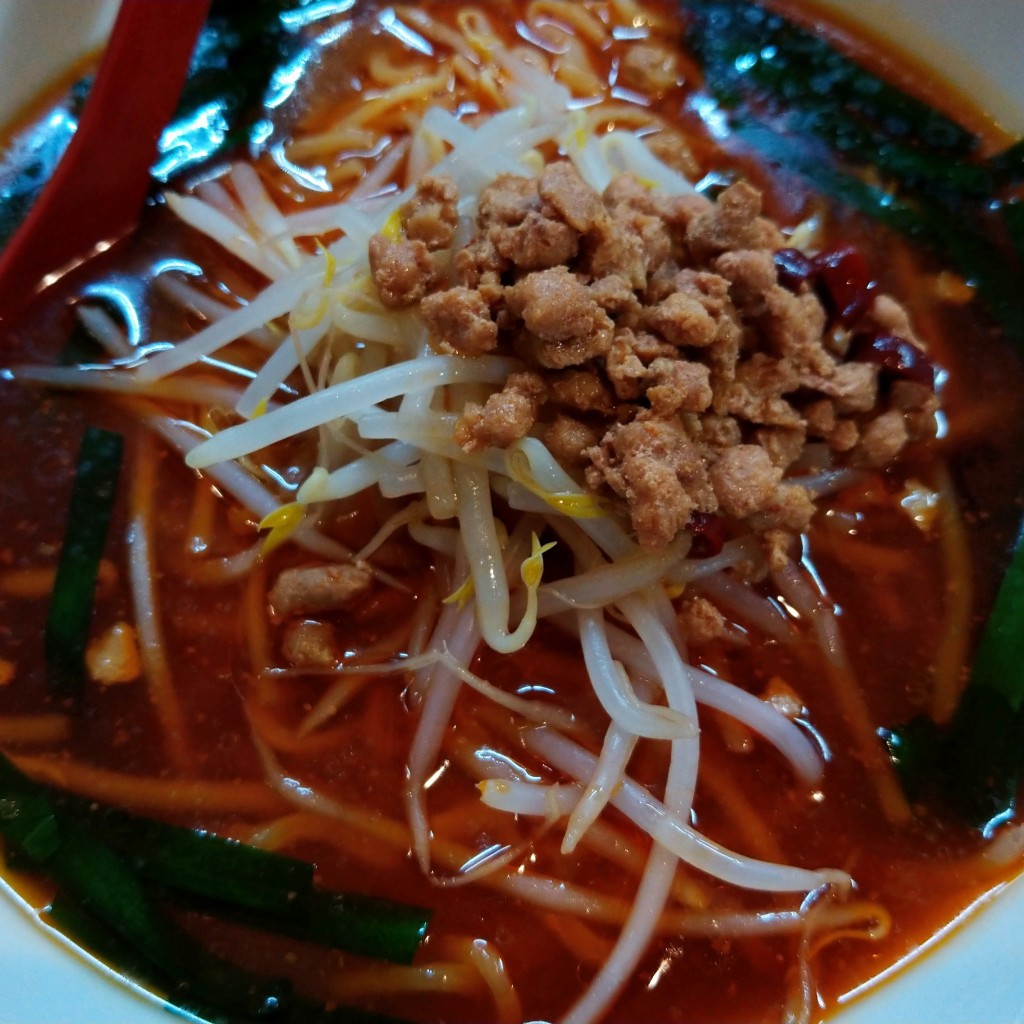 ユーザーが投稿した台湾味噌ラーメンの写真 - 実際訪問したユーザーが直接撮影して投稿した中新田台湾料理龍華の写真