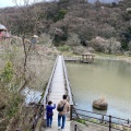 実際訪問したユーザーが直接撮影して投稿した東坂本植物園 / 樹木園和歌山県植物公園 緑花センターの写真