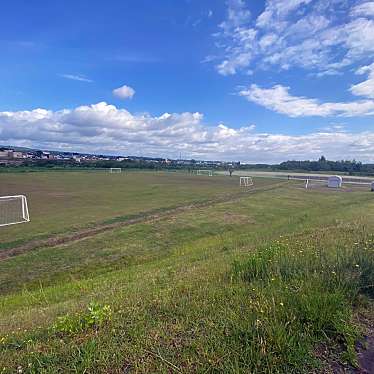 実際訪問したユーザーが直接撮影して投稿した東栄公園信濃川河川公園の写真