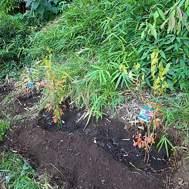 実際訪問したユーザーが直接撮影して投稿した大場町ホームセンターホームセンターユニディあざみ野ガーデンズの写真