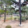 実際訪問したユーザーが直接撮影して投稿した潮見町公園西浜公園の写真