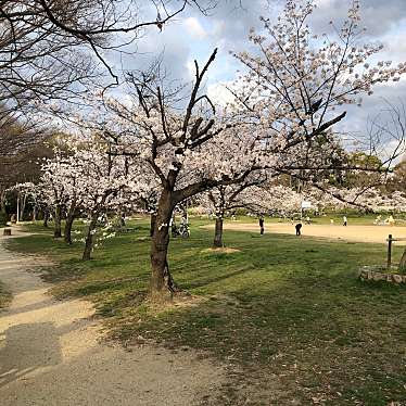 楠葉東公園のundefinedに実際訪問訪問したユーザーunknownさんが新しく投稿した新着口コミの写真