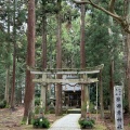 実際訪問したユーザーが直接撮影して投稿した織田神社越前二の宮 劔神社の写真