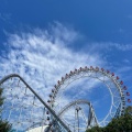 実際訪問したユーザーが直接撮影して投稿した後楽遊園地 / テーマパーク東京ドームシティ アトラクションズの写真