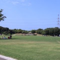 実際訪問したユーザーが直接撮影して投稿した竹並公園響灘緑地(グリーンパーク)の写真