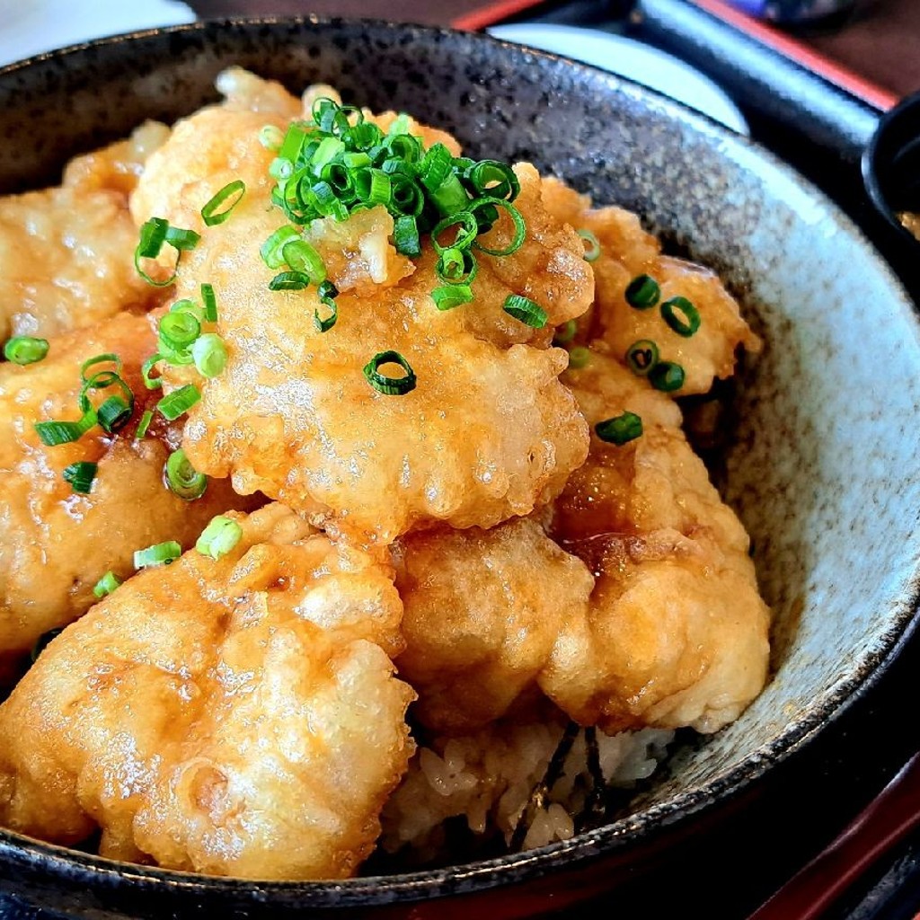 ユーザーが投稿した鶏天丼の写真 - 実際訪問したユーザーが直接撮影して投稿した石林居酒屋海鮮問屋 海ぼうず 西那須野店の写真