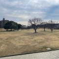 実際訪問したユーザーが直接撮影して投稿した上島公園馬込川みずべの公園の写真