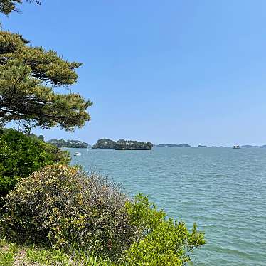 実際訪問したユーザーが直接撮影して投稿した松島景勝地 / 百選松島の写真